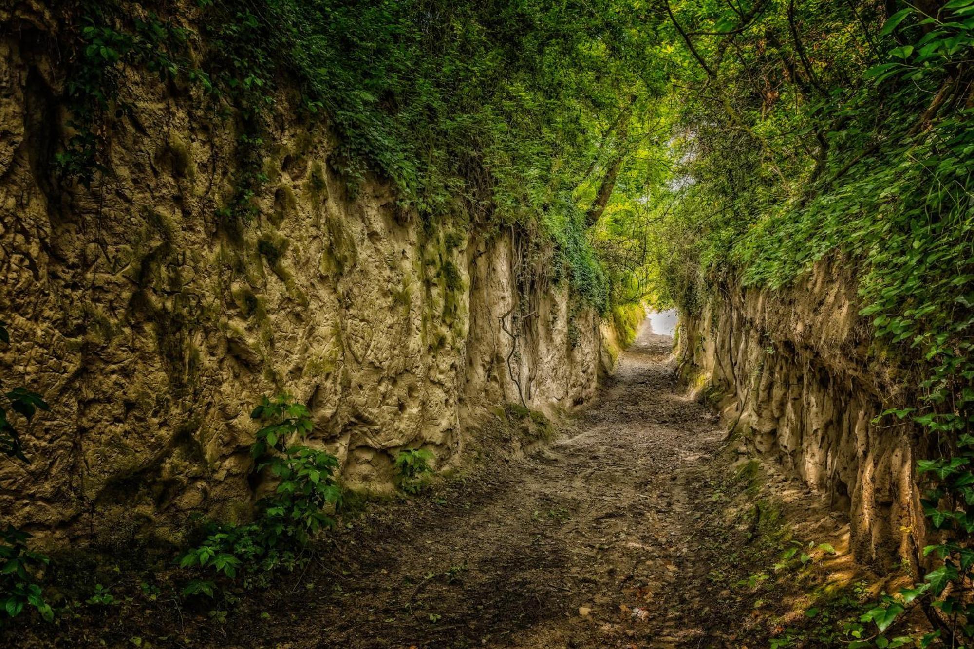 Dreilaendereck Am Kaiserstuhl Wasenweiler المظهر الخارجي الصورة