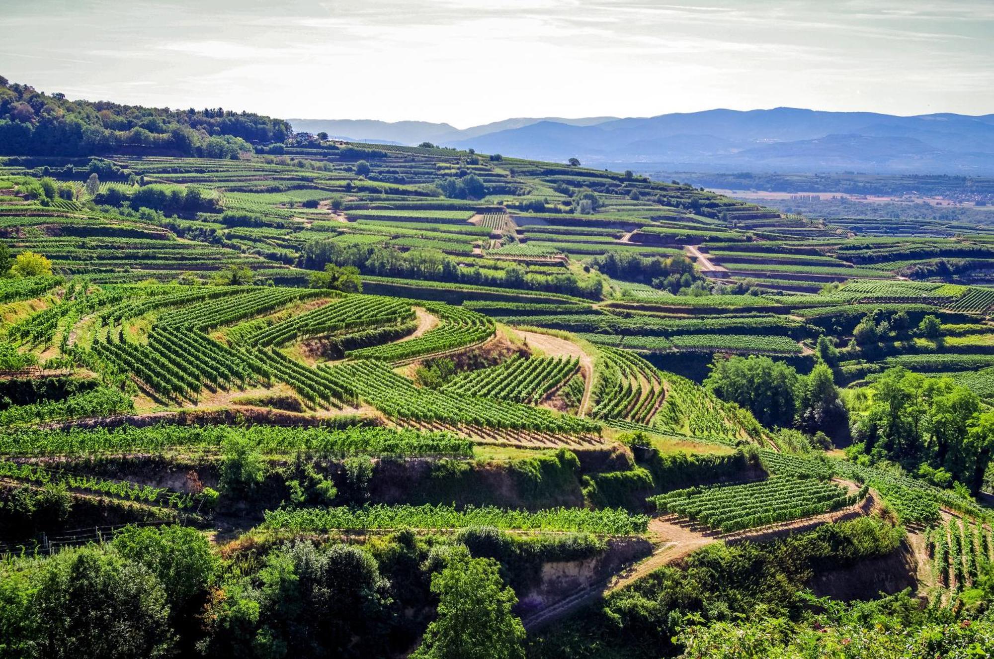 Dreilaendereck Am Kaiserstuhl Wasenweiler المظهر الخارجي الصورة